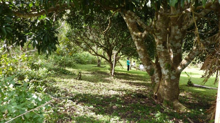 Terreno en Venta en La Laguna Panamá Oeste Panamá | $199,000 | MLS# 24340