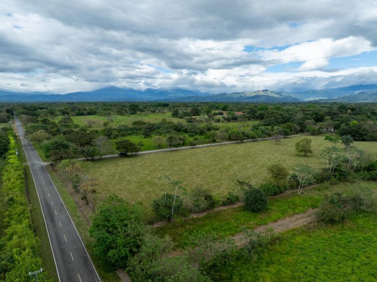 Terreno en Venta en Cochea Chiriqui Panamá | $350,220 | MLS# 24396