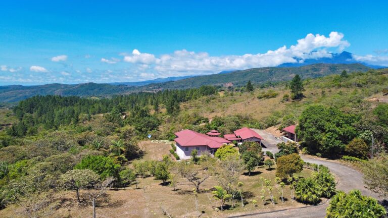 Finca en Venta en Jaramillo Chiriqui Panamá | $550,000 | MLS# 24433