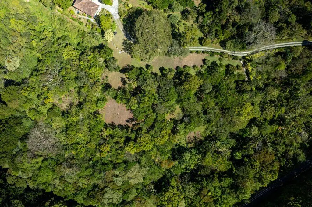 Terreno en Venta en Jaramillo Chiriqui Panamá | $289,000 | MLS# 24440