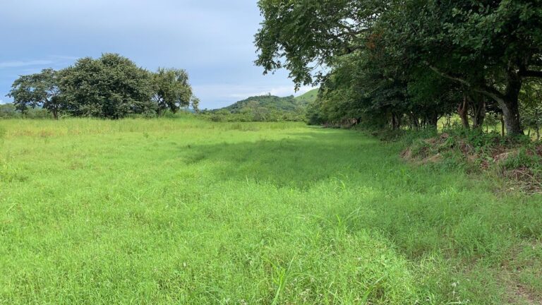 en Venta en Cañaveral Coclé Panamá | $500,000 | MLS# 24454