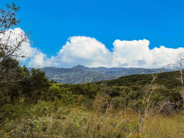 Terreno en Venta en Caldera Chiriqui Panamá | $135,000 | MLS# 24462