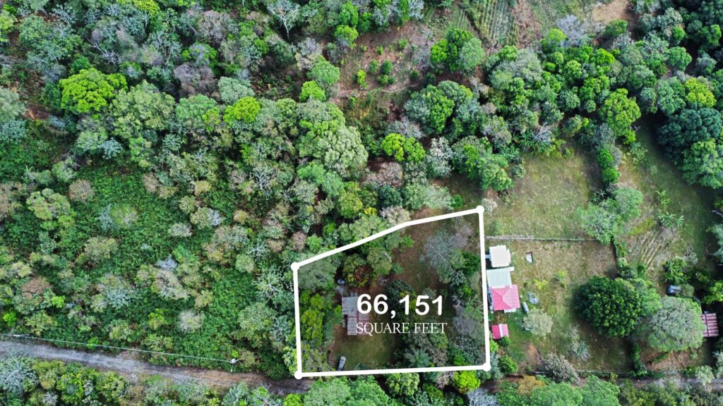 Terreno en Venta en Palmira Chiriqui Panamá | $66,685 | MLS# 24498