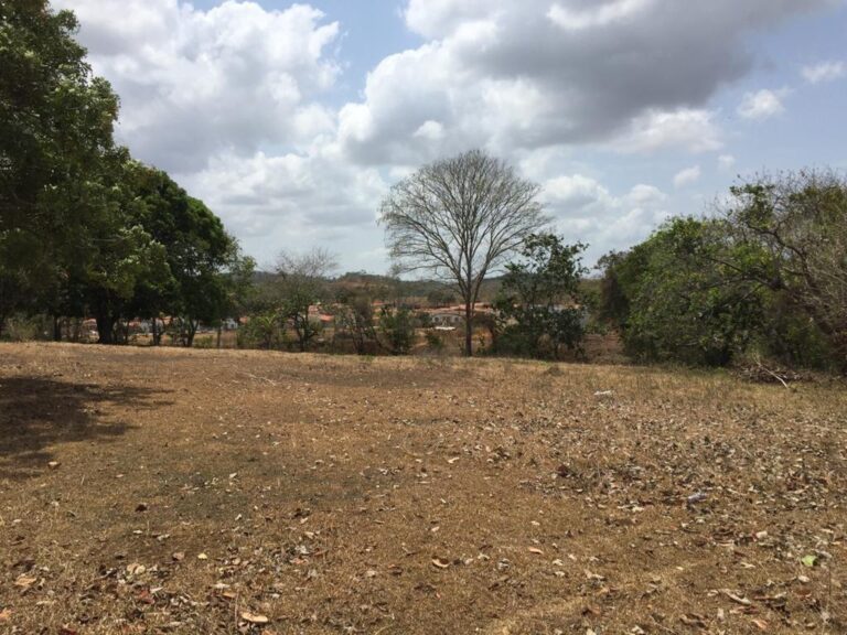 Terreno en Venta en La Chorrera Panamá Oeste Panamá | $650,000 | MLS# 24531