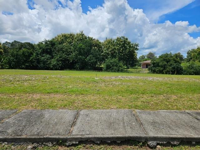 Terreno en Venta en Las Lajas Panamá Oeste Panamá | $55,000 | MLS# 24631