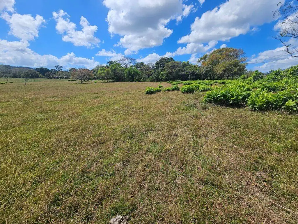Finca en Venta en Santa Rosa Panamá Oeste Panamá | $65,000 | MLS# 24662