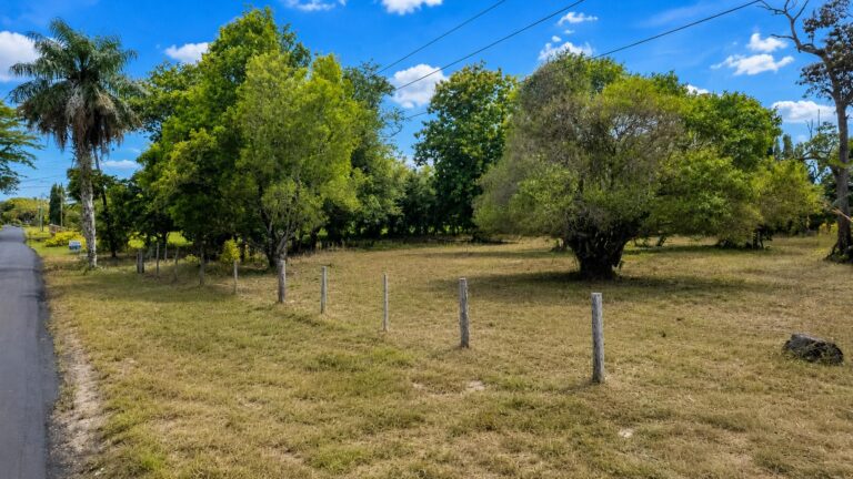 Terreno en Venta en David Chiriqui Panamá | $350,000 | MLS# 24699
