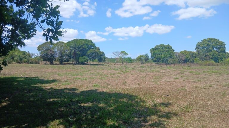 Terreno en Venta en Atalaya Veraguas Panamá | $22,180 | MLS# 24759