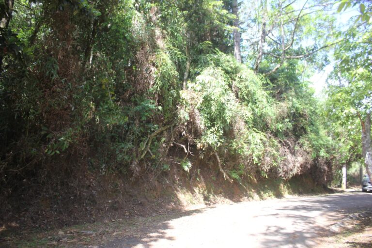 Terreno en Venta en Tocumen Panamá Panamá | $140,000 | MLS# 24788