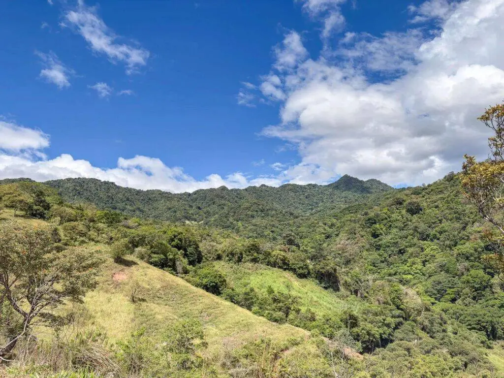 Terreno en Venta en Hornito Chiriqui Panamá | $31,850 | MLS# 24791