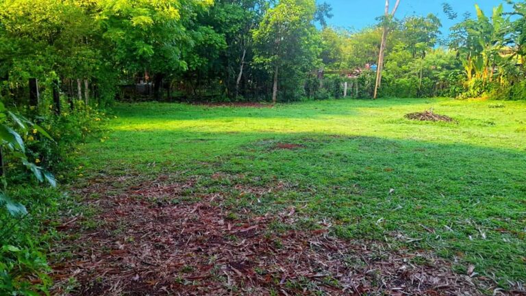 Terreno en Venta en Las Lajas Chiriqui Panamá | $33,000 | MLS# 24804