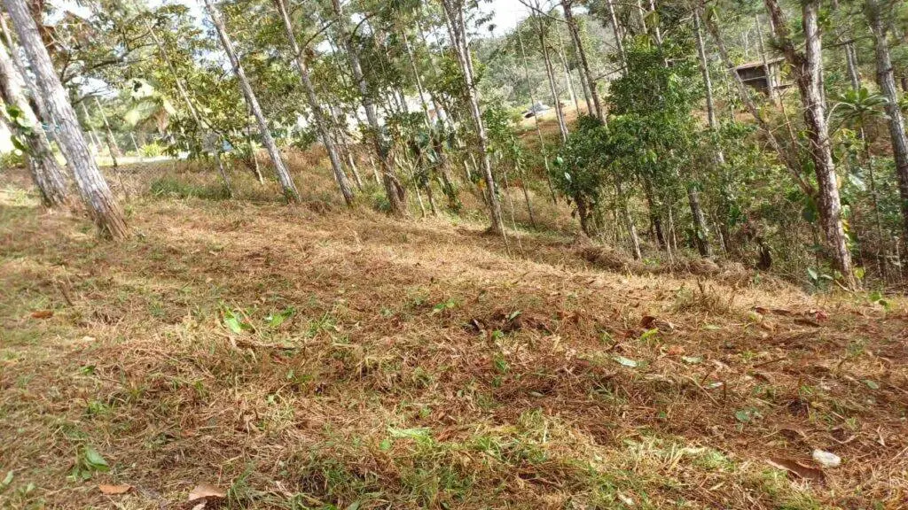 Terreno en Venta en Chilibre Panamá Panamá | $27,800 | MLS# 24806