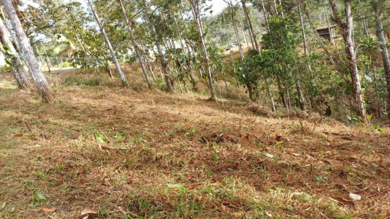 Terreno en Venta en Chilibre Panamá Panamá | $27,800 | MLS# 24806