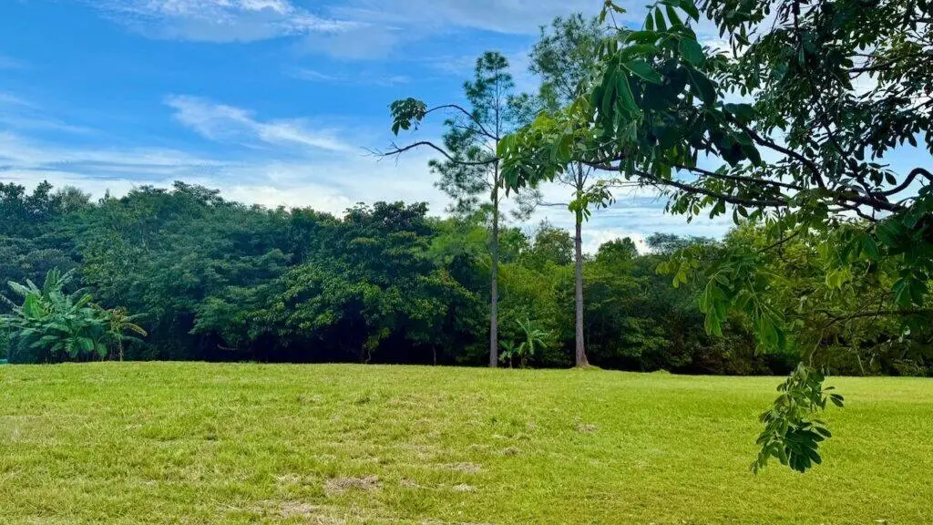 Terreno en Venta en Las Lajas Panamá Oeste Panamá | $75,000 | MLS# 24814