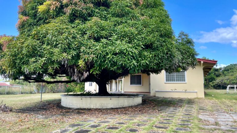 Casa en Venta en Nueva Gorgona Panamá Oeste Panamá | $249,000 | MLS# 24815