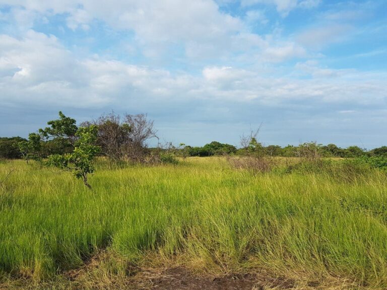 Terreno en Venta en El Chiru Coclé Panamá | $394,000 | MLS# 24861