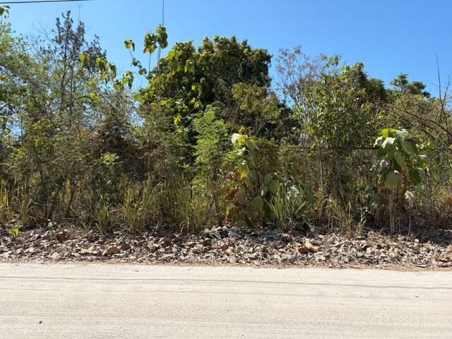 Terreno en Venta en Río Hato Coclé Panamá | $50,000 | MLS# 24862