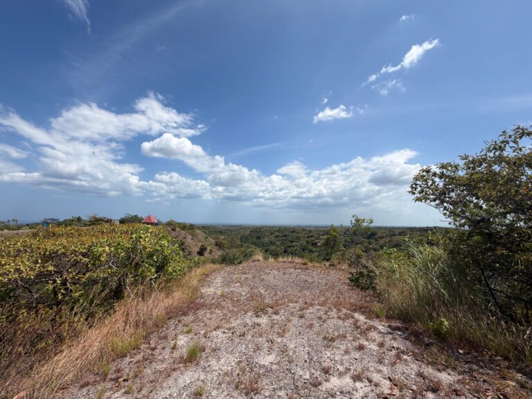 Finca en Venta en La Ermita Panamá Oeste Panamá | $85,000 | MLS# 24879