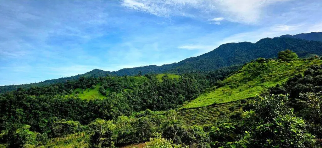 Finca en Venta en Boquerón Chiriqui Panamá | $800,000 | MLS# 24886