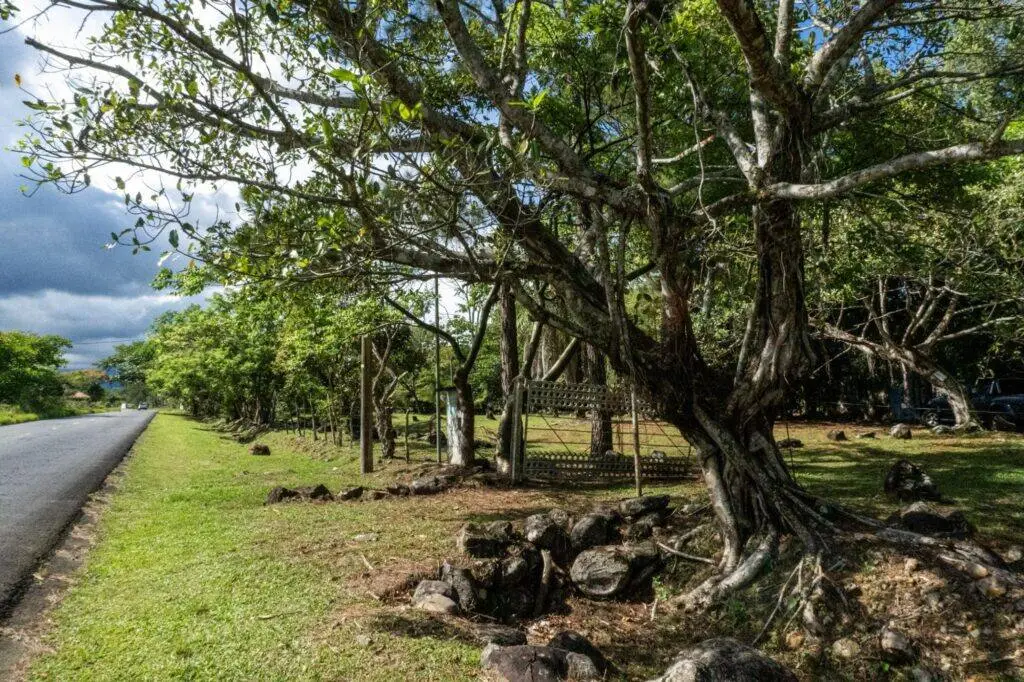 Finca en Venta en Potrerillos Chiriqui Panamá | $224,625 | MLS# 24894