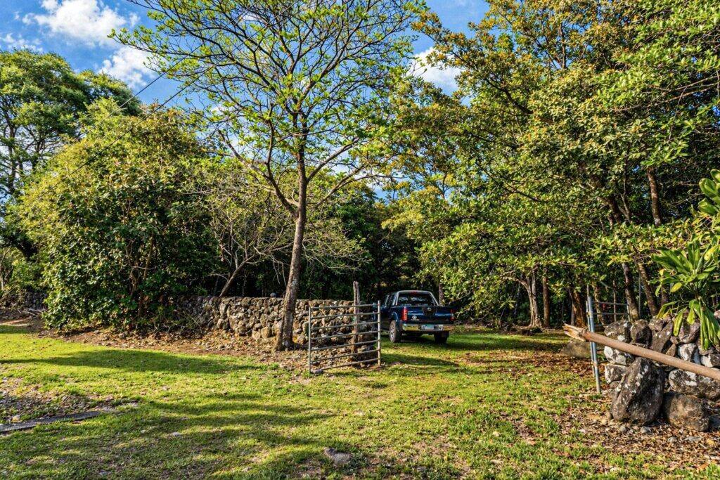Finca en Venta en Potrerillos Chiriqui Panamá | $1,036,725 | MLS# 24895