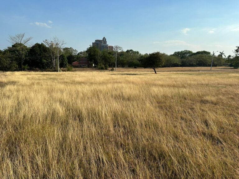 Terreno en Venta en Nueva Gorgona Panamá Oeste Panamá | $120,000 | MLS# 24901