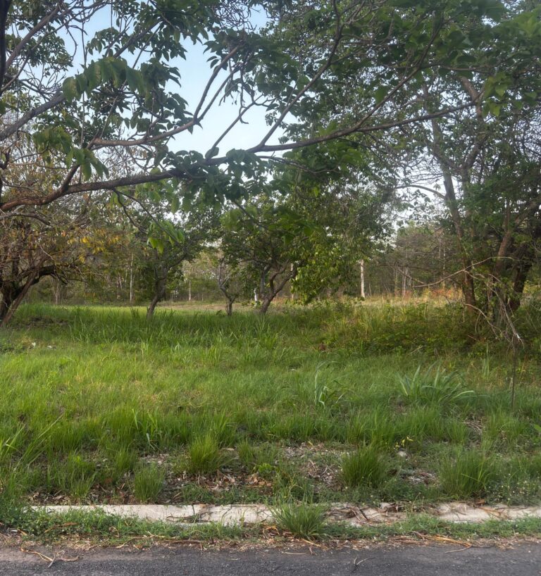 Terreno en Venta en Nueva Gorgona Panamá Oeste Panamá | $119,892 | MLS# 24954