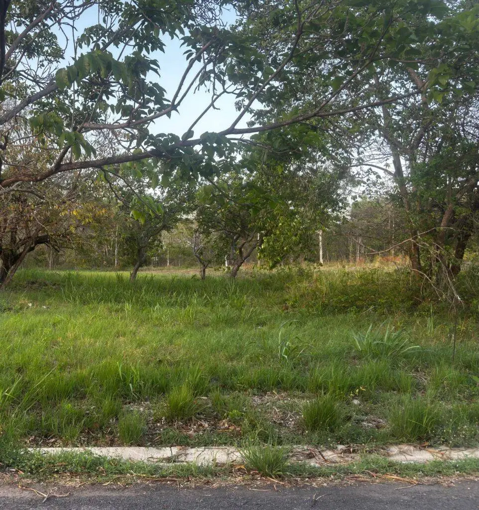 Terreno en Venta en Nueva Gorgona Panamá Oeste Panamá | $119,892 | MLS# 24954