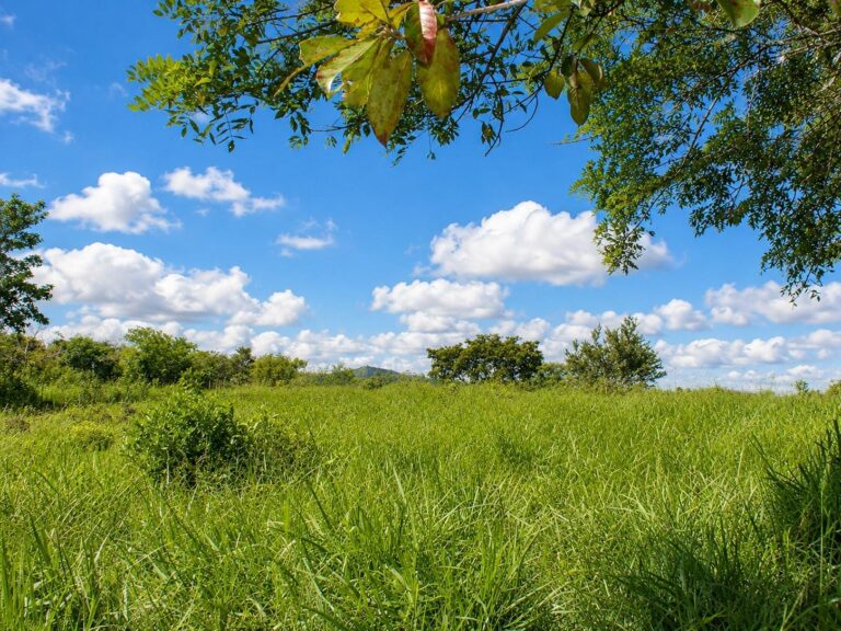 Terreno en Venta en Tinajas Chiriqui Panamá | $241,695 | MLS# 24974
