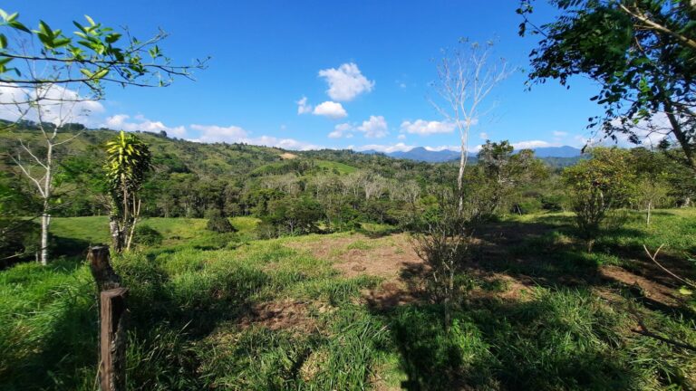 Finca en Venta en Monte Lirio Chiriqui Panamá | $380,000 | MLS# 24995