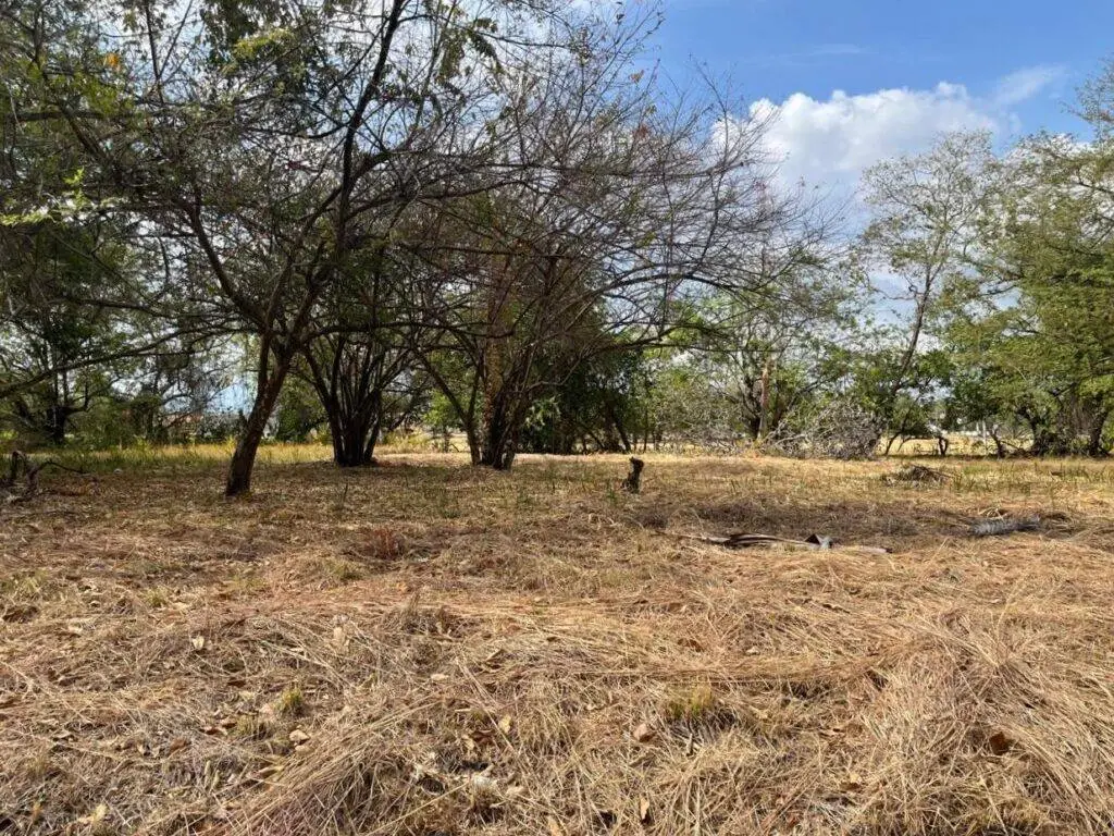 Terreno en Venta en Nueva Gorgona Panamá Oeste Panamá | $124,000 | MLS# 25007