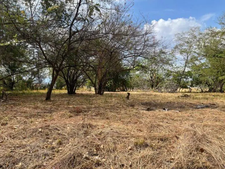 Terreno en Venta en Nueva Gorgona Panamá Oeste Panamá | $124,000 | MLS# 25007