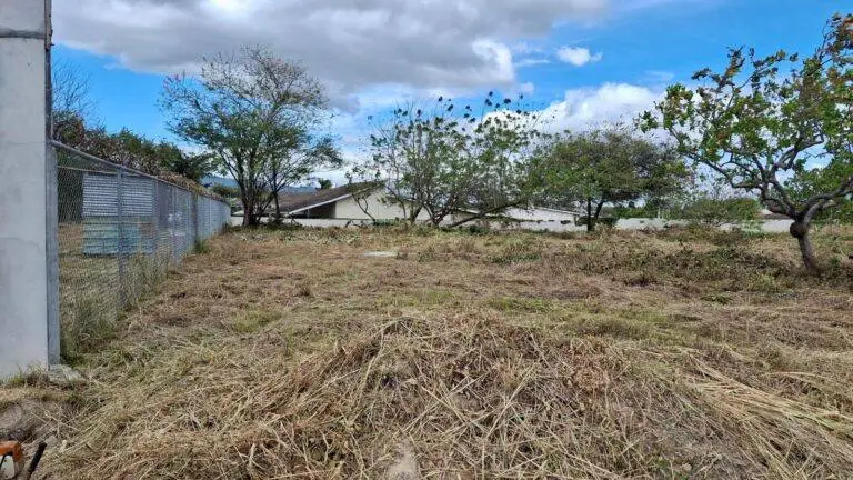 Terreno en Venta en Nueva Gorgona Panamá Oeste Panamá | $100,000 | MLS# 25008