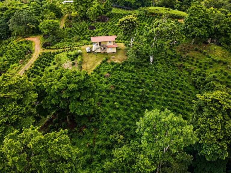 Finca en Venta en Llano Norte Coclé Panamá | $1,649,000 | MLS# 25033