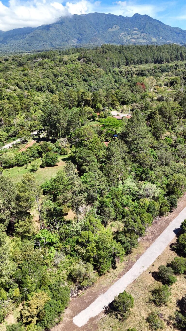 Terreno en Venta en Alto Boquete Chiriqui Panamá | $242,173 | MLS# 25052