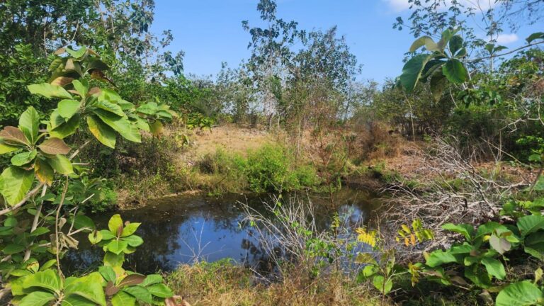 Finca en Venta en Pocrí Los Santos Panamá | $154,000 | MLS# 25064