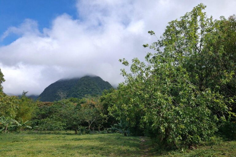 Terreno en Venta en El Valle Coclé Panamá | $378,000 | MLS# 25126