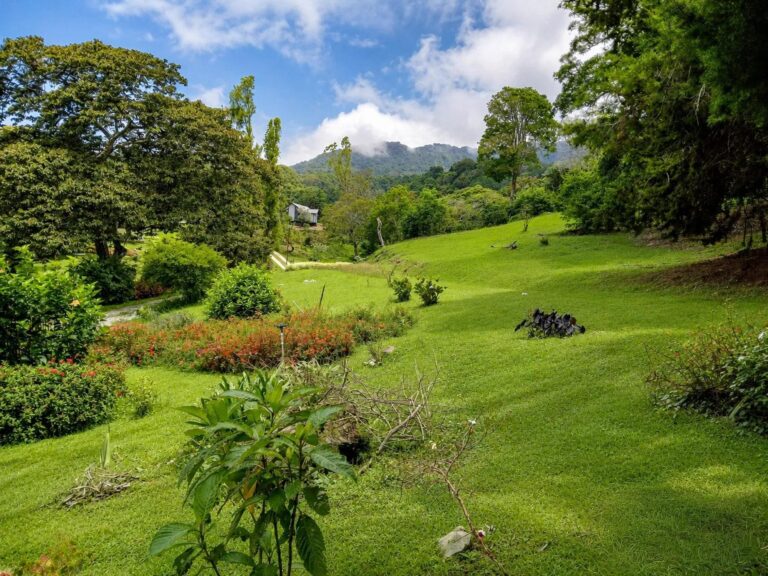 Terreno en Venta en Bajo Boquete Chiriqui Panamá | $312,000 | MLS# 25144