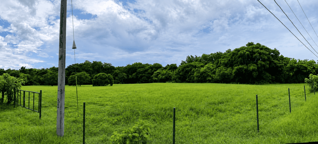 Terreno en Venta en El Espino Panamá Oeste Panamá | $260,000 | MLS# 25155
