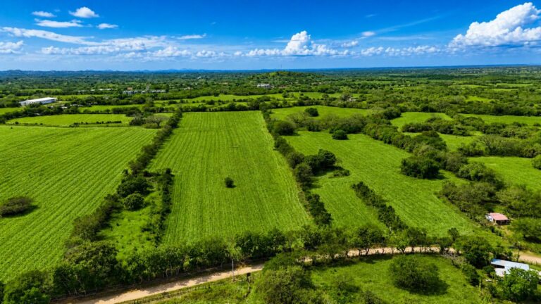 Terreno en Venta en Las Tablas Los Santos Panamá | $416,174 | MLS# 25197
