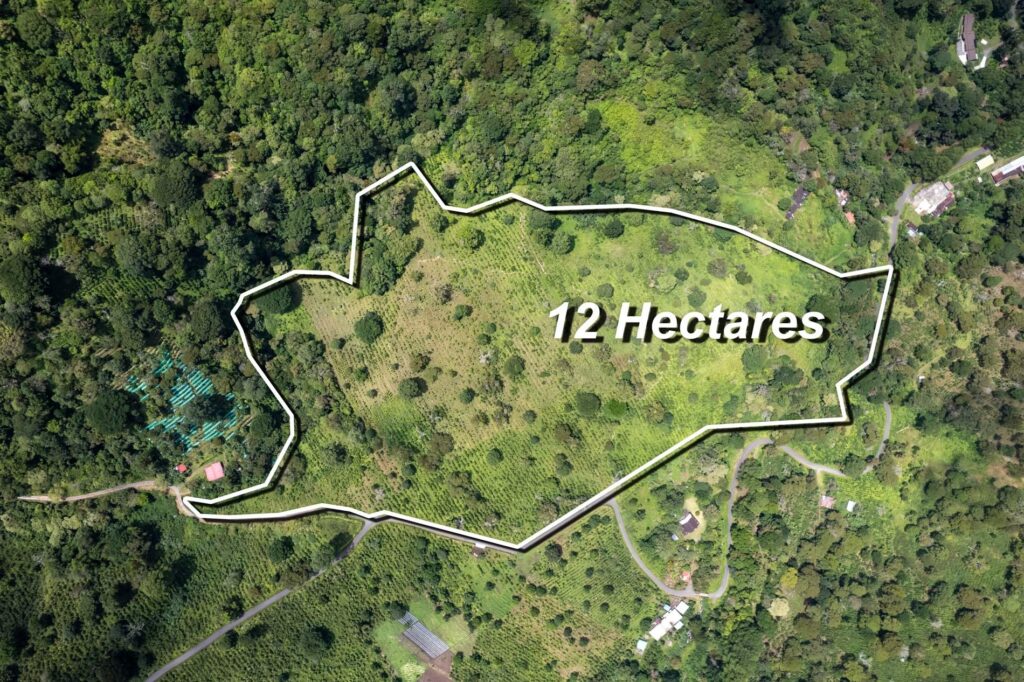 Finca en Venta en Los Naranjos Chiriqui Panamá | $3,826,440 | MLS# 25213