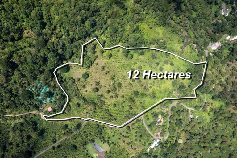 Finca en Venta en Los Naranjos Chiriqui Panamá | $3,826,440 | MLS# 25213