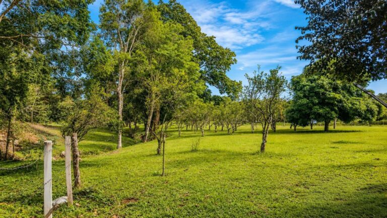 Terreno en Venta en Potrerillos Abajo Chiriqui Panamá | $137,000 | MLS# 25220