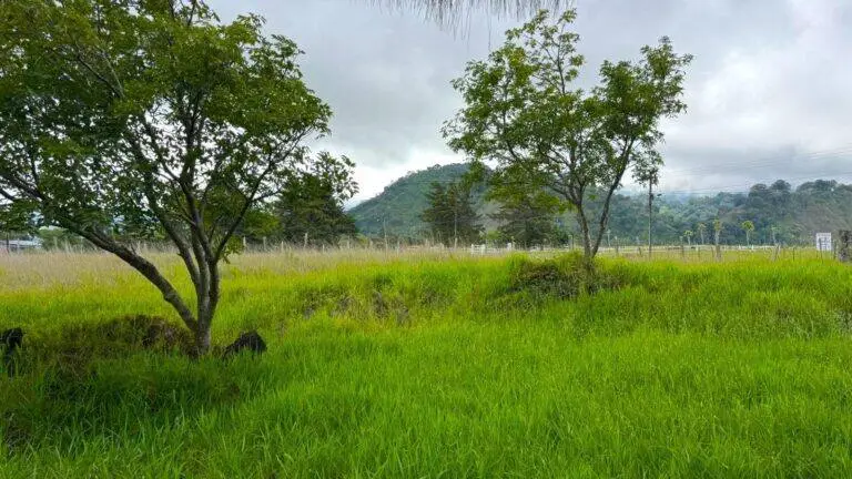 Terreno en Venta en Volcán Chiriqui Panamá | $70,000 | MLS# 25226