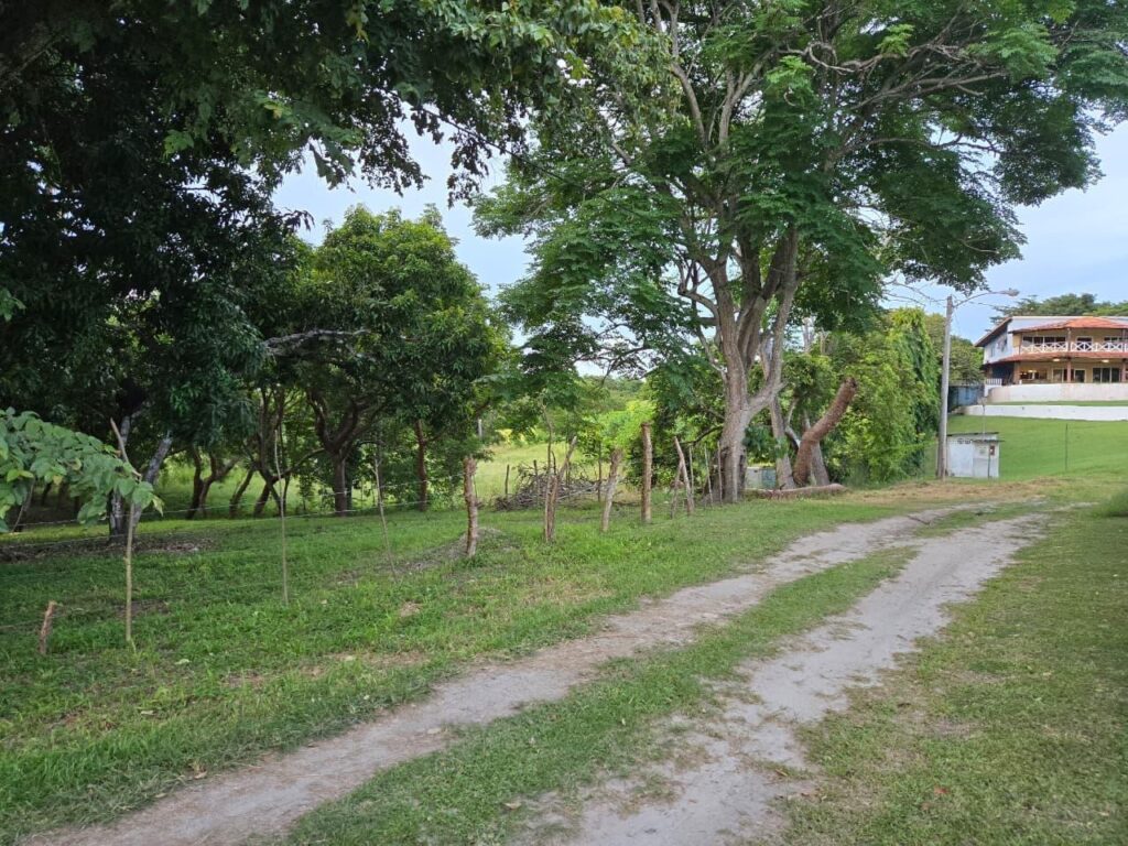 Finca en Venta en La Ermita Panamá Oeste Panamá | $339,000 | MLS# 25287