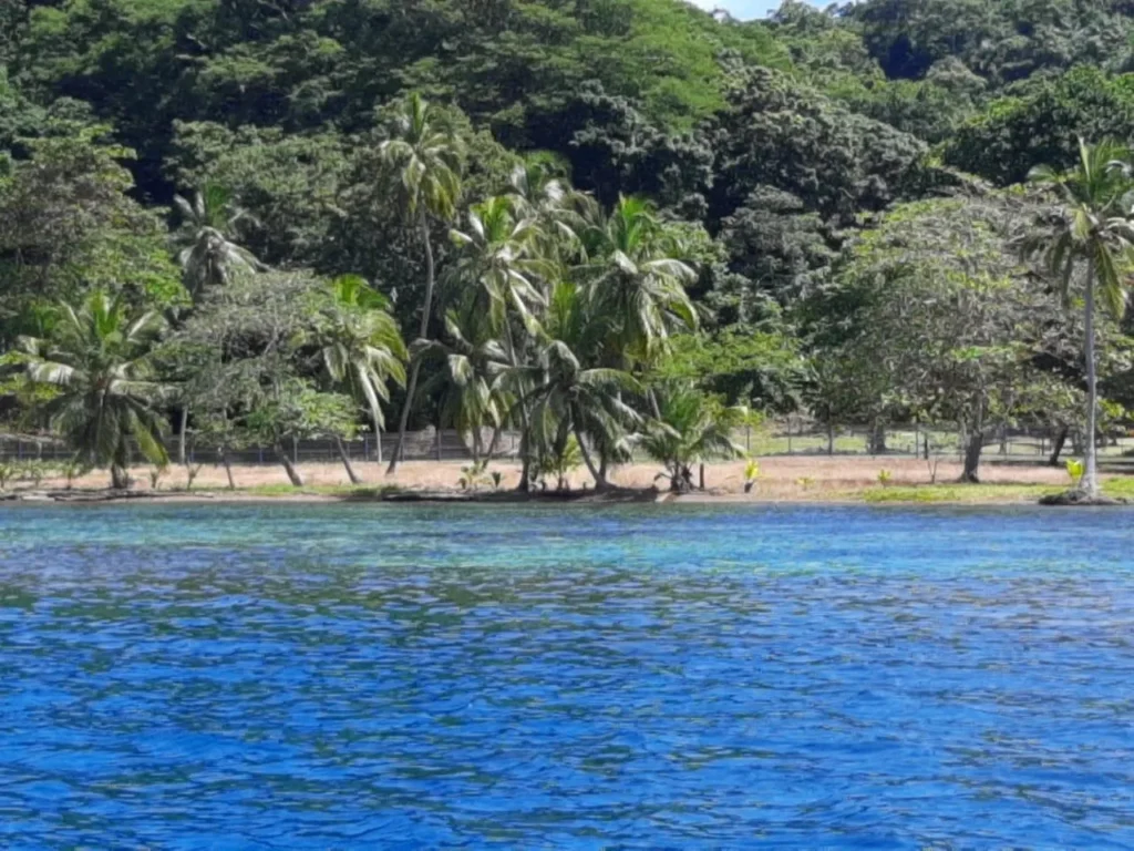 Terreno en Venta en Puerto Lindo Colón Panamá | $276,000 | MLS# 25294