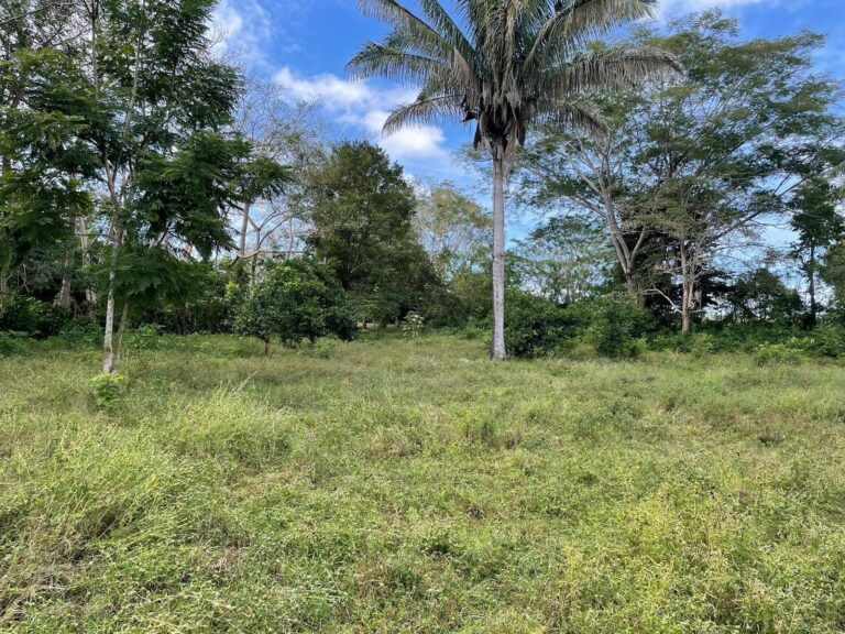 en Venta en Limones Chiriqui Panamá | $135,000 | MLS# 25296