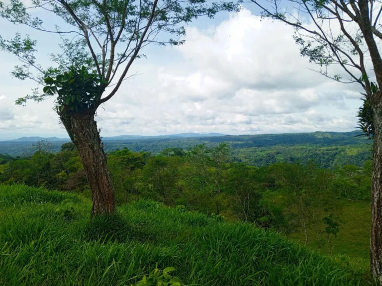 Finca en Venta en Santa Rosa Chiriqui Panamá | $315,000 | MLS# 25298