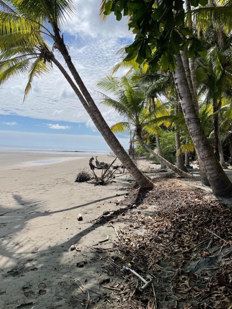 Lote Frente al Mar en Venta en Limones, Puerto Armuelles, Chiriquí, Panamá | 7,570 m² con Acceso Directo a la Playa