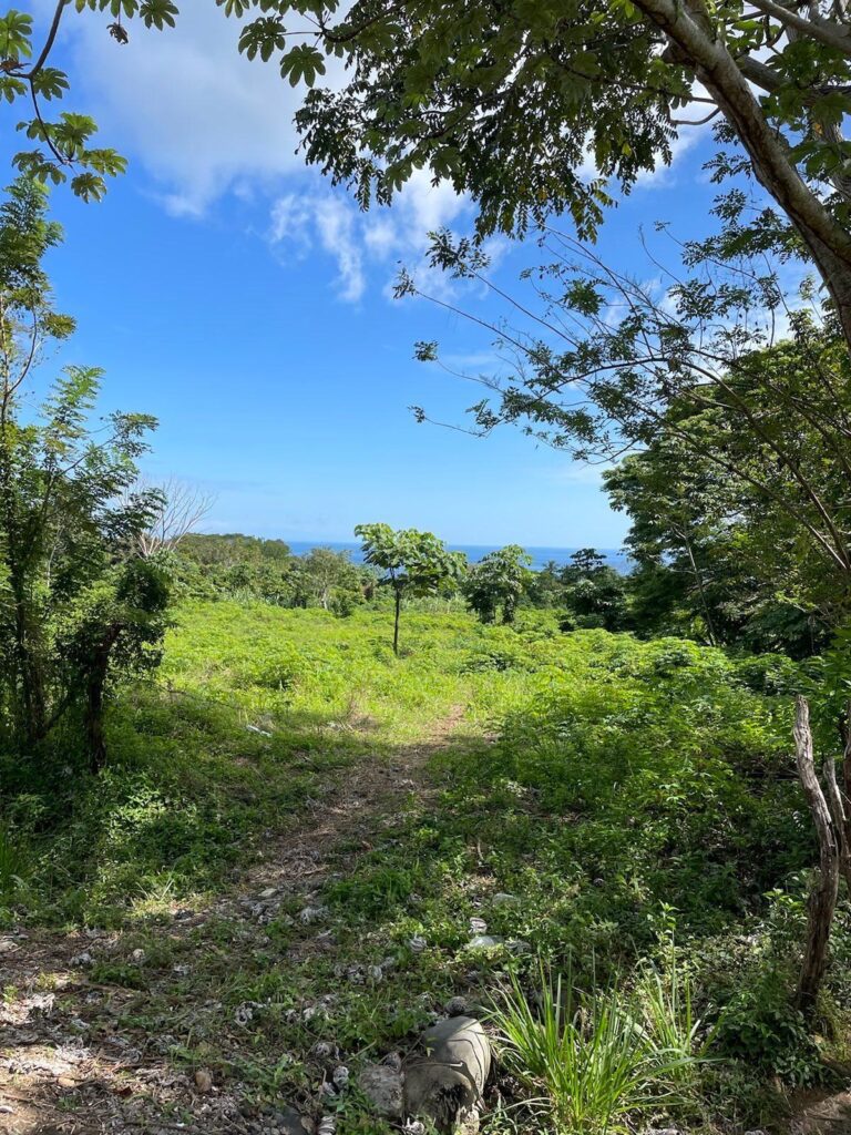 Lote en Venta en Limones, Puerto Armuelles, Chiriquí, Panamá | 8,146 m² con Vista al Mar y Río